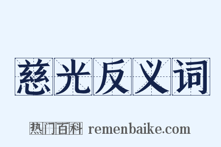 慈光反义词是什么意思的图片